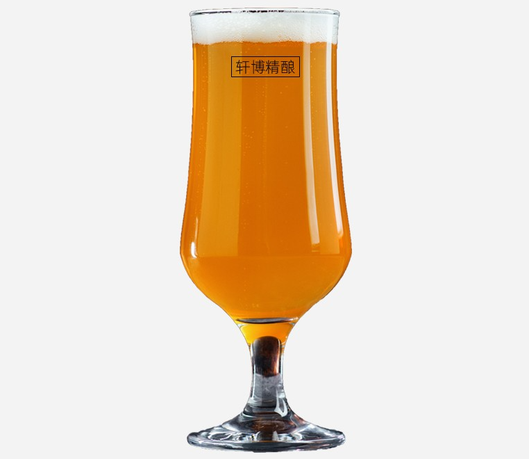 精釀品牌軒博啤酒獲近5000萬元Pre-A輪融資，梅花創投領投-酒展網