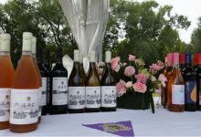 北京密云區(qū)8月將舉辦葡萄酒文化節(jié)，帶動(dòng)“商農(nóng)文旅”融合消費(fèi)-酒展網(wǎng)