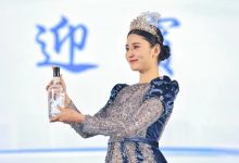 宜賓酒“迎賓”“禮賓”“貴賓”三款新品白酒發布-酒展網