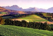 寧夏賀蘭山東麓葡萄酒產(chǎn)業(yè)多項(xiàng)重點(diǎn)建設(shè)項(xiàng)目加速進(jìn)行中-酒展網(wǎng)