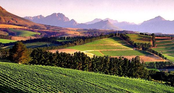 第三屆中國寧夏國際葡萄酒文化旅游博覽會6月9/10日在銀川召開-酒展網(wǎng)
