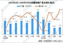 2023年5月我國葡萄酒產量同期持平-酒展網(wǎng)