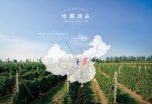 怡園酒業上半年業績增29.4%，首支威士忌2026年上市-酒展網