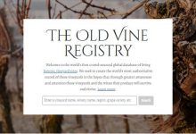 葡萄酒老藤數據網站建立-酒展網