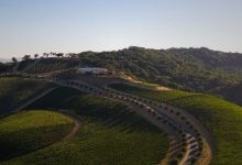 Treasury Wine Estates9億美元收購美國DAOU Vineyards酒莊-酒展網