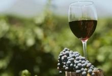 新西蘭葡萄酒出口量額雙降，出口額約93.36億元-酒展網