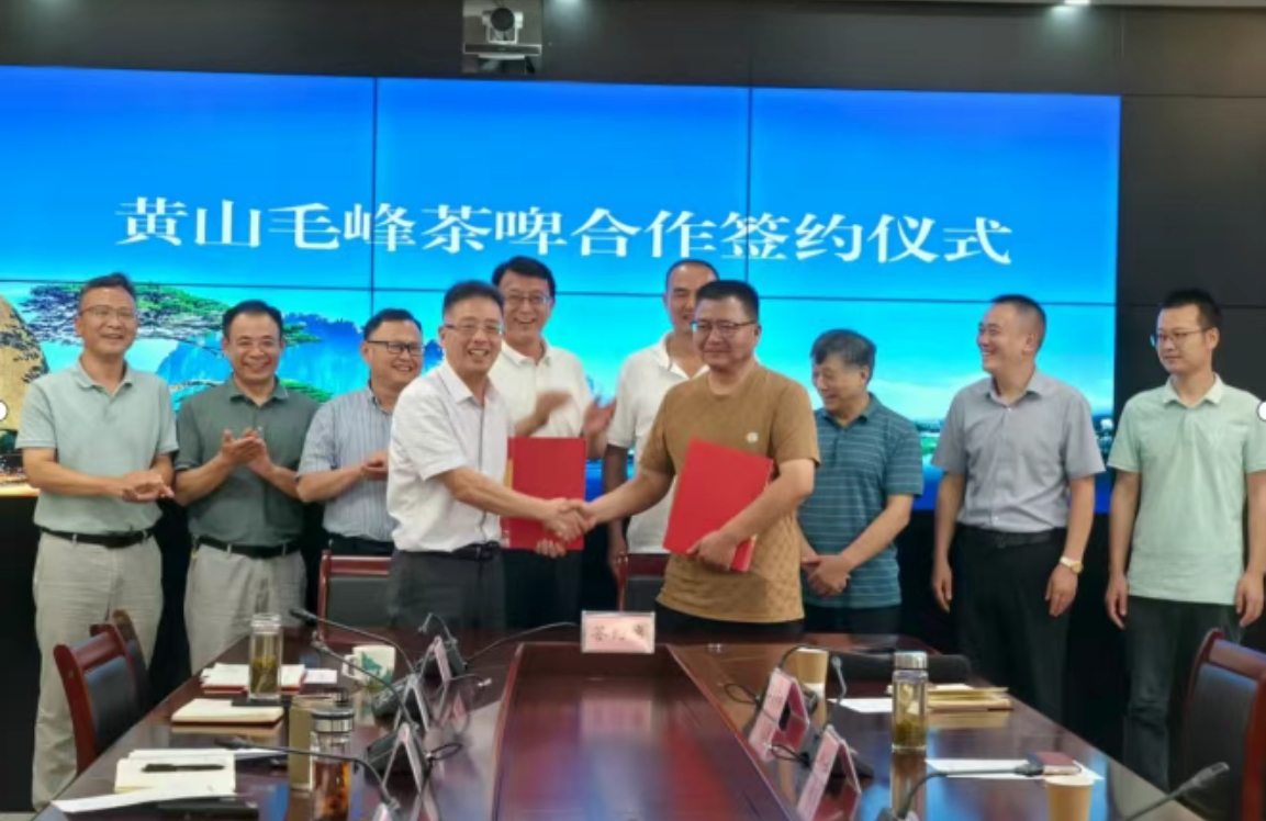 黃山毛峰茶啤跨界合作-酒展網(wǎng)