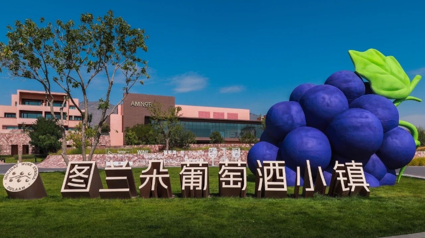 2025首屆葡萄酒風(fēng)土文化雙年展在寧夏啟幕-酒展網(wǎng)