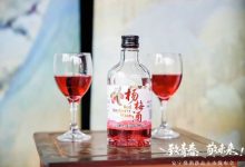 安寧燒酒推出三款低度新品-酒展網